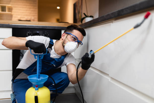 Best Pest Prevention Services  in Washington, WV