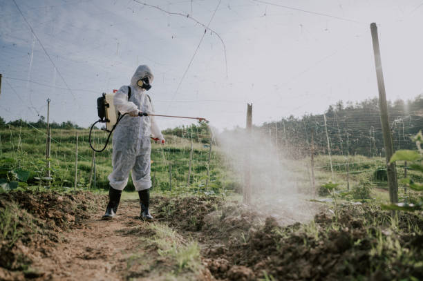 Best Commercial Pest Control Services  in Washington, WV
