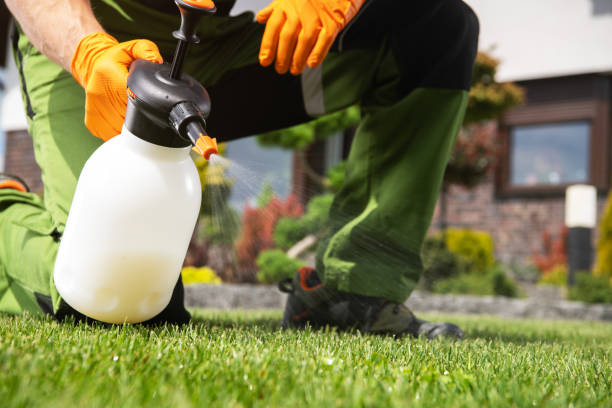 Best Pest Control Near Me  in Washington, WV