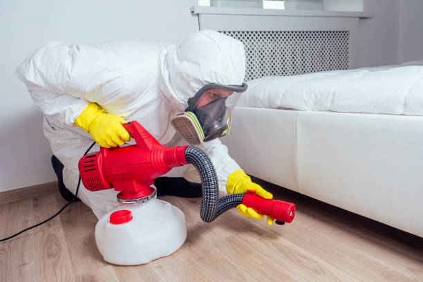Best Pest Removal Services  in Washington, WV