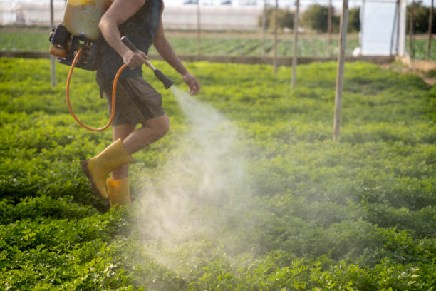 Best Local Pest Control Services  in Washington, WV