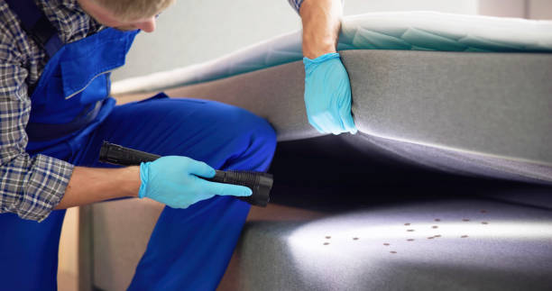 Best Pest Control Near Me in Washington, WV