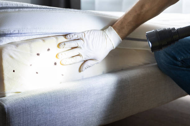 Best Emergency Pest Control  in Washington, WV