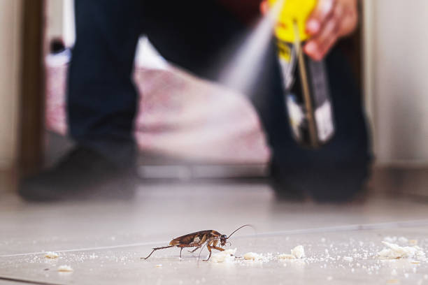 Professional Pest Control in Washington, WV